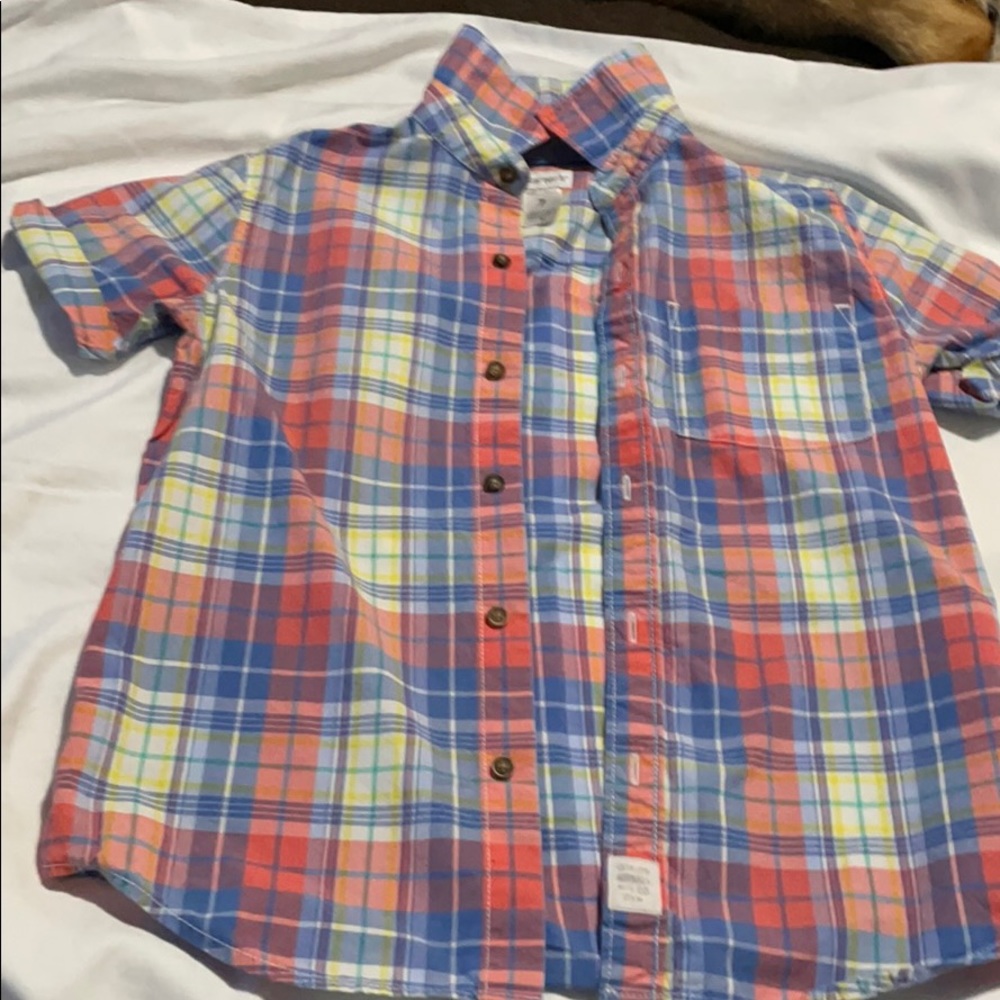Shirts - Picture 4 of 10